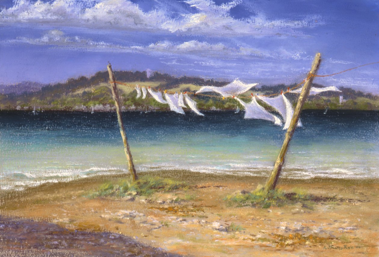 Die Weißen trocknen, 2004 von Anthony Rule