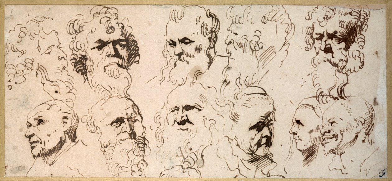 Elf Kopfstudien von Anthony van Dyck