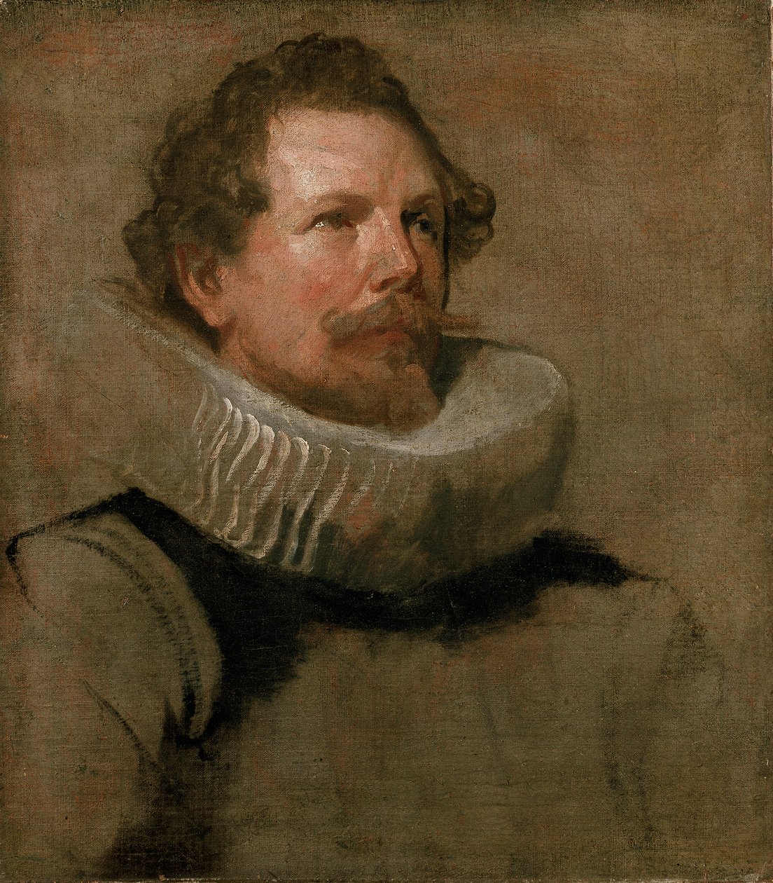 Kopf eines bärtigen Mannes mit Radkragen von Anthony van Dyck