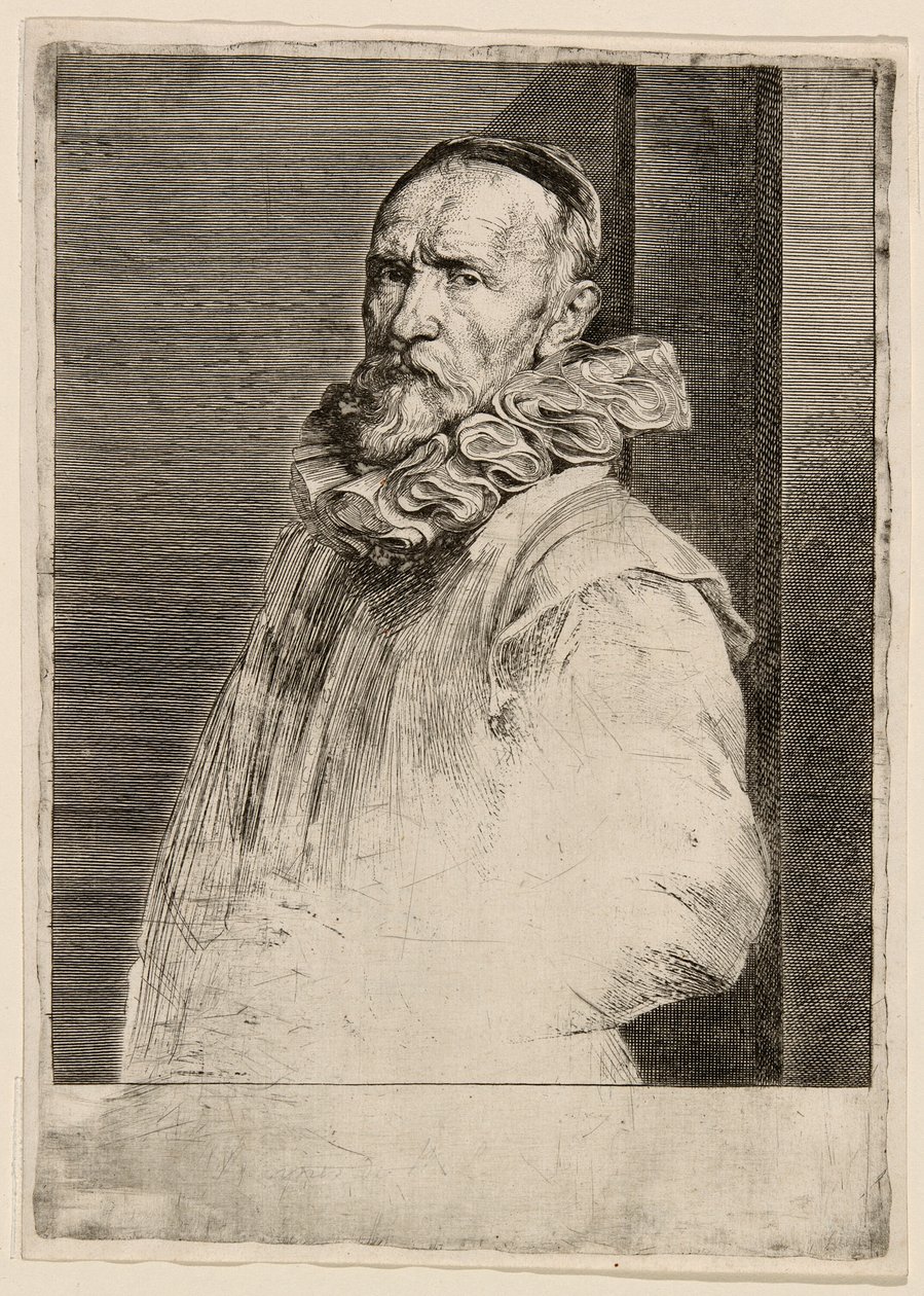 Jan de Wael von Anthony van Dyck