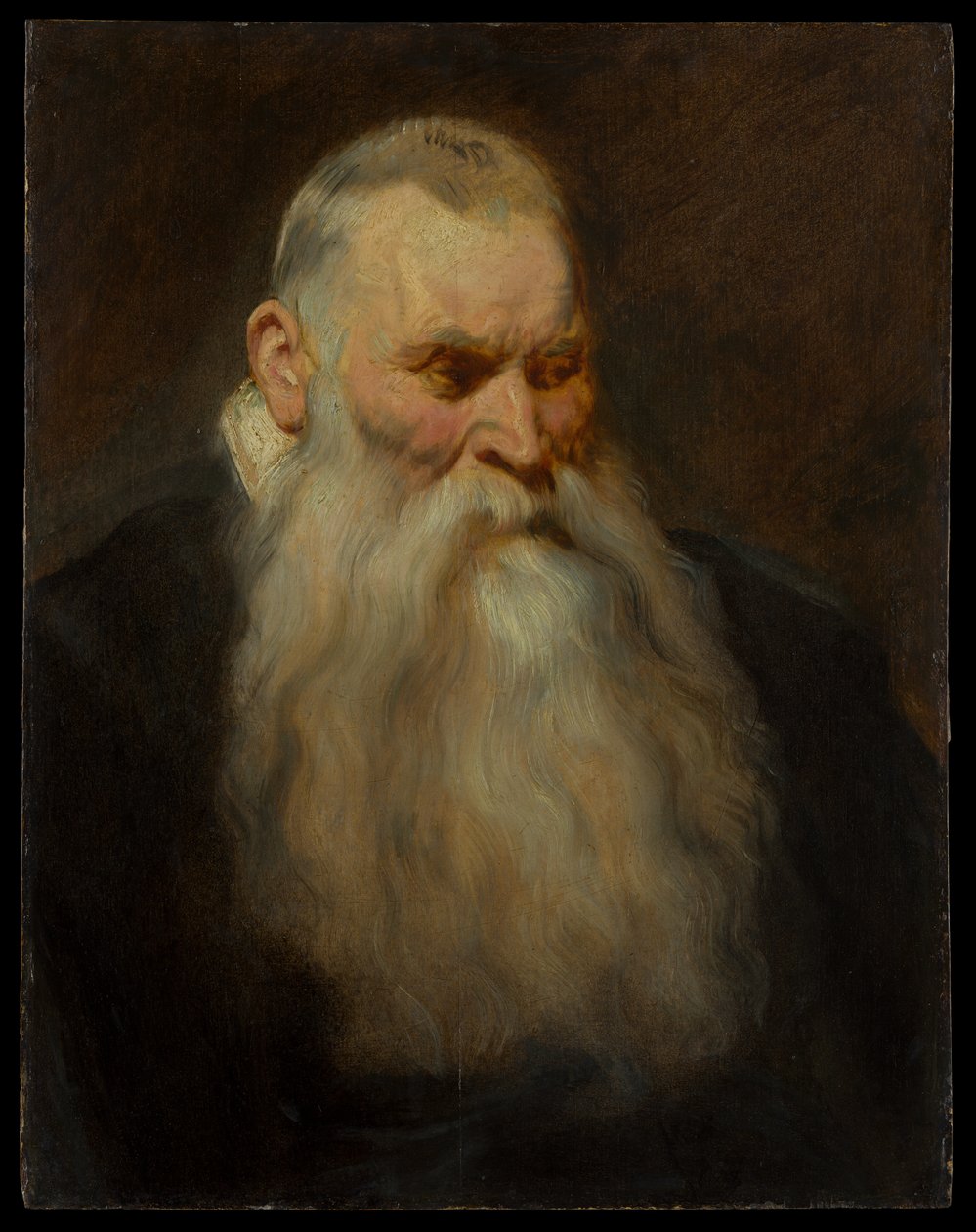 Kopfstudie eines alten Mannes mit weißem Bart von Anthony van Dyck