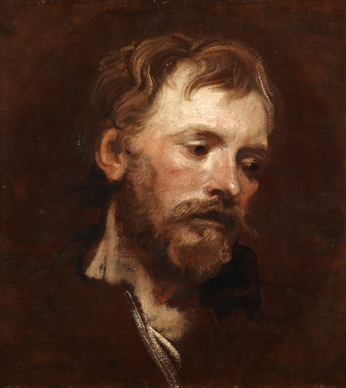 Studie eines jungen bärtigen Mannes von Anthony van Dyck
