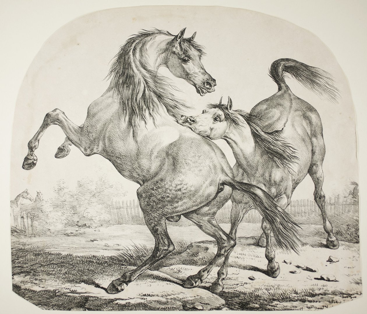 Wilde Pferde kämpfen, ca. 1820 von Antoine Charles Horace Vernet