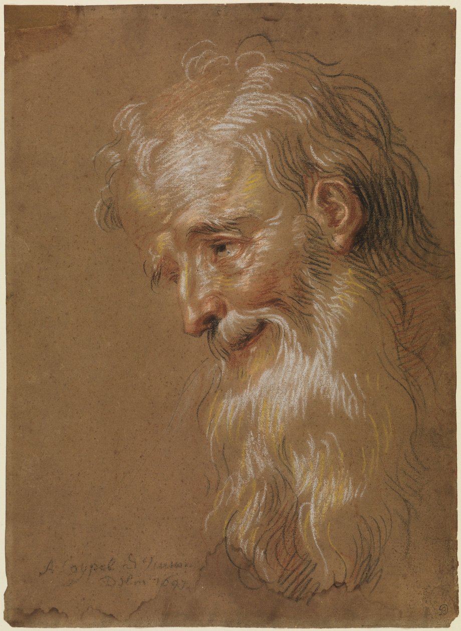 Kopf eines bärtigen alten Mannes von Antoine Coypel