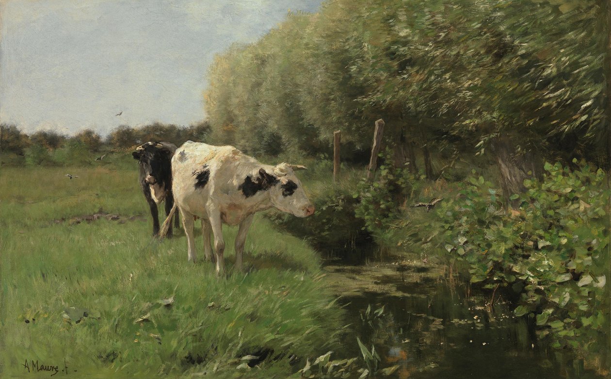 Kühe auf der Weide von Anton Mauve