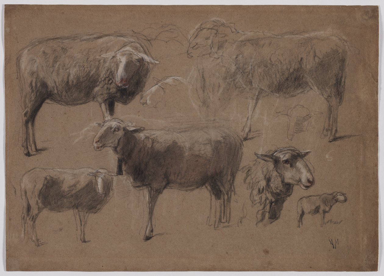 Studien von Schafen von Anton Mauve