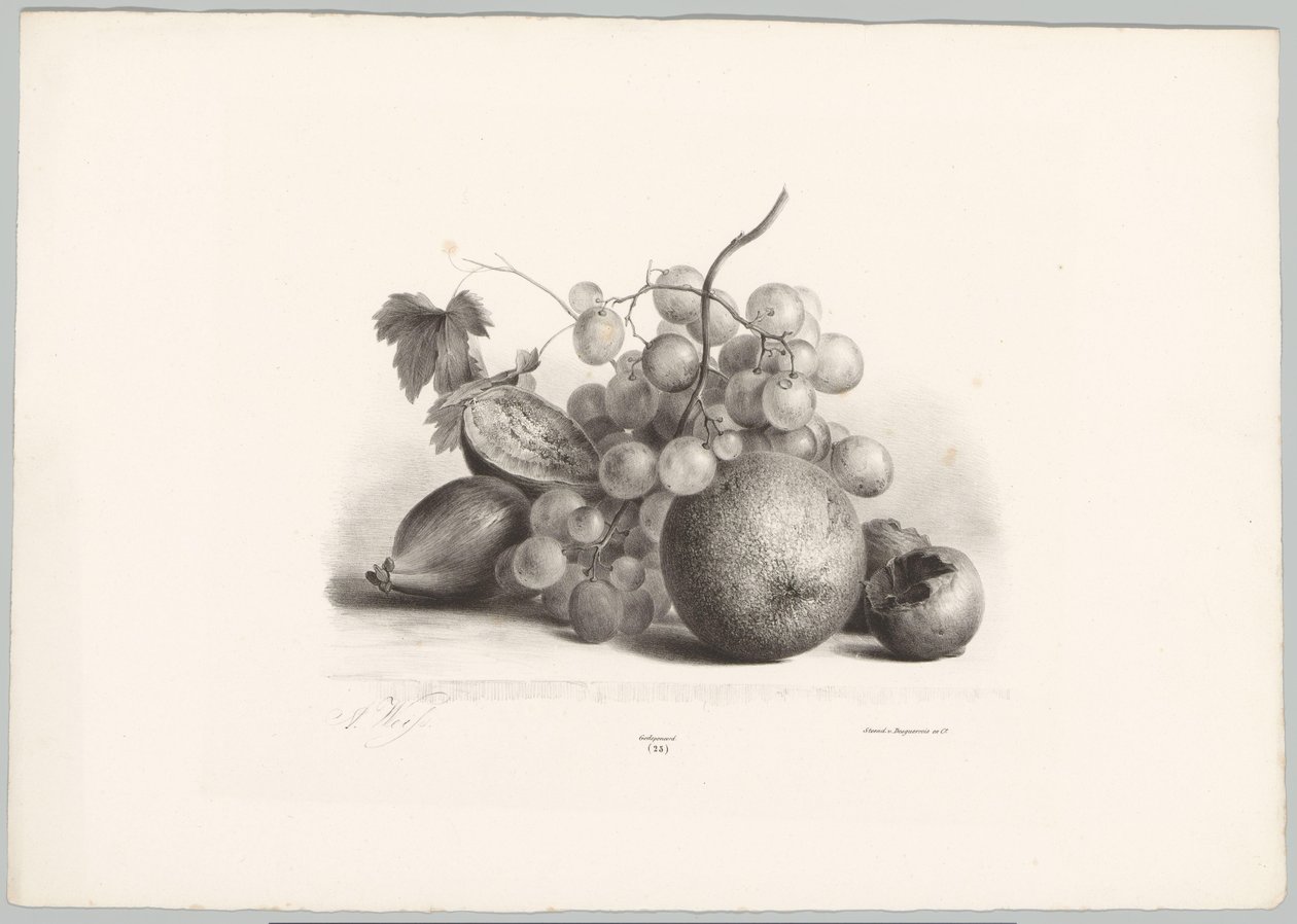 Feigen, Trauben und Orange von Anton Weiss