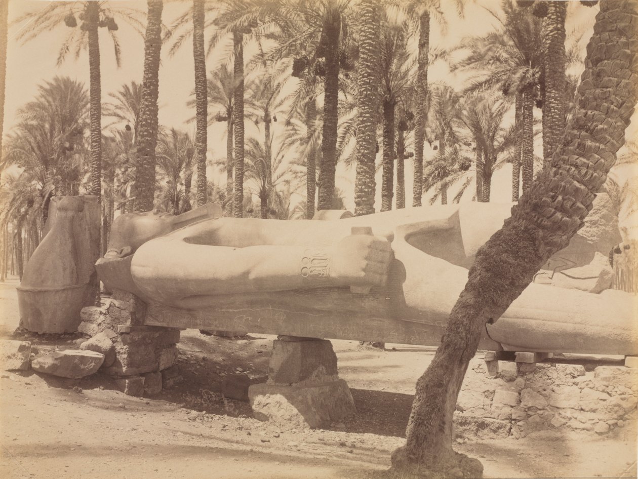 Statue von Ramses in Saqqara, ca. 1870er-1880er von Antonio Beato