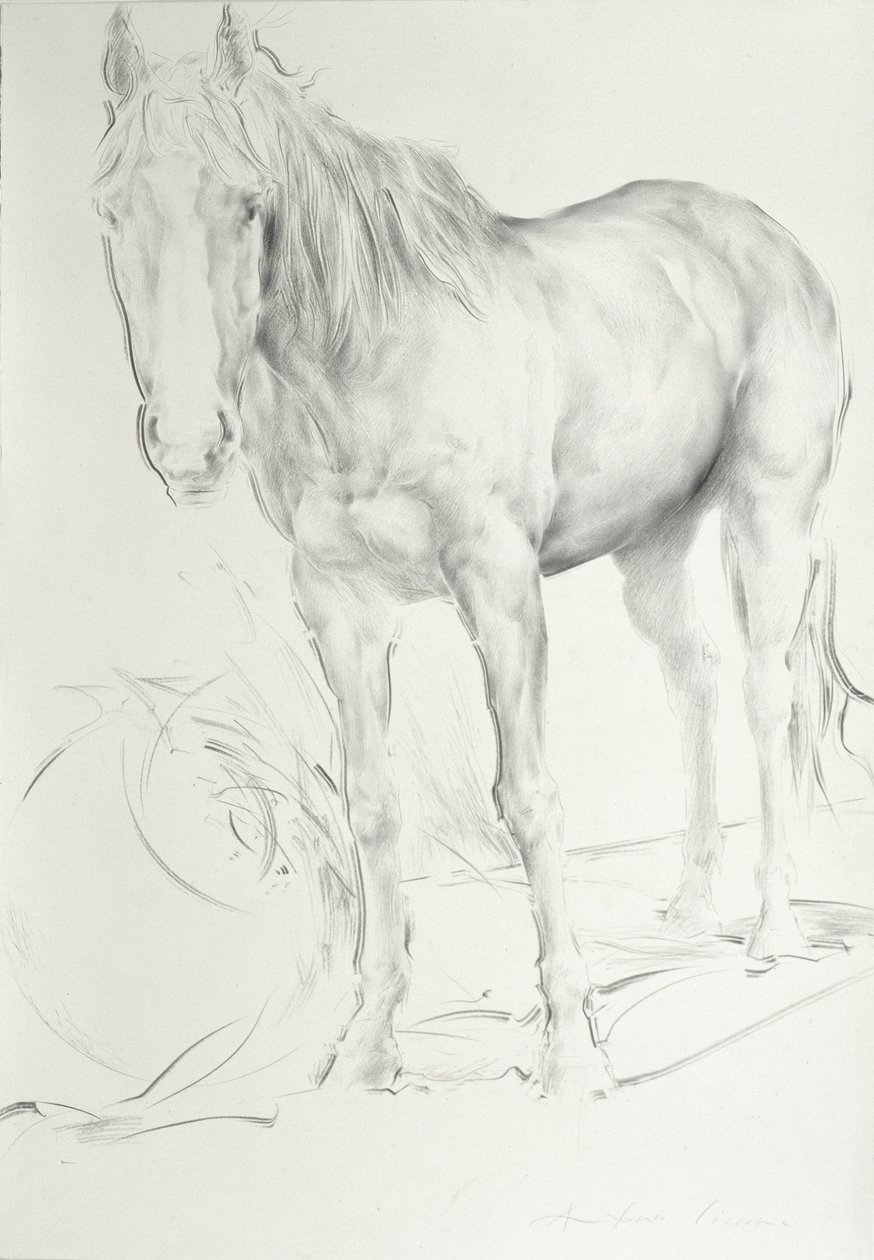 Pferd bei Coolmore, 1990 von Antonio Ciccone
