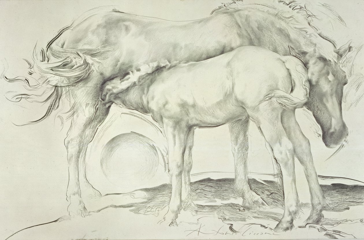Pferde bei Coolmore, 1990 von Antonio Ciccone