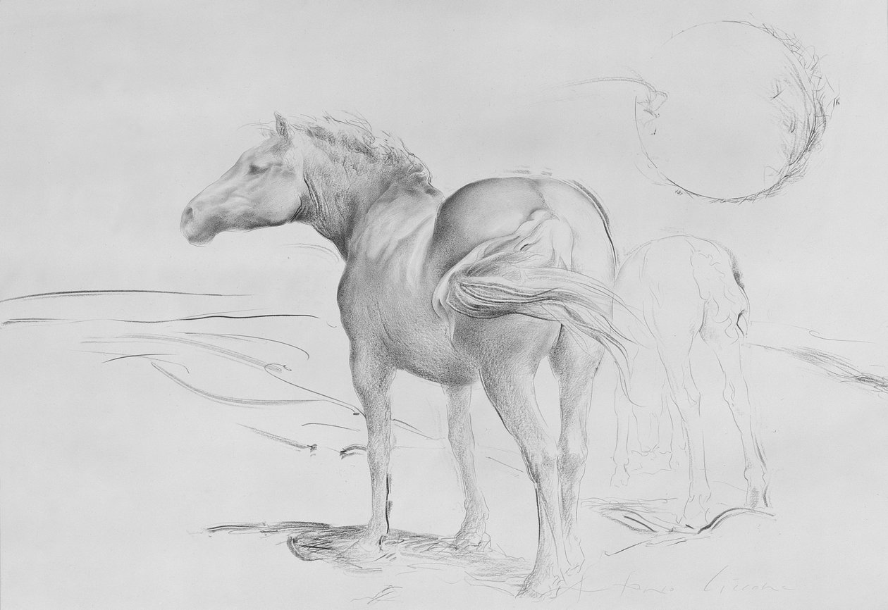 Pferde bei Coolmore, 1990 von Antonio Ciccone