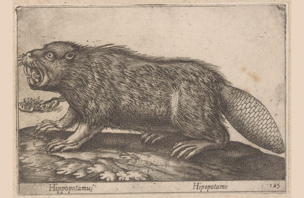 Biber von Antonio Tempesta