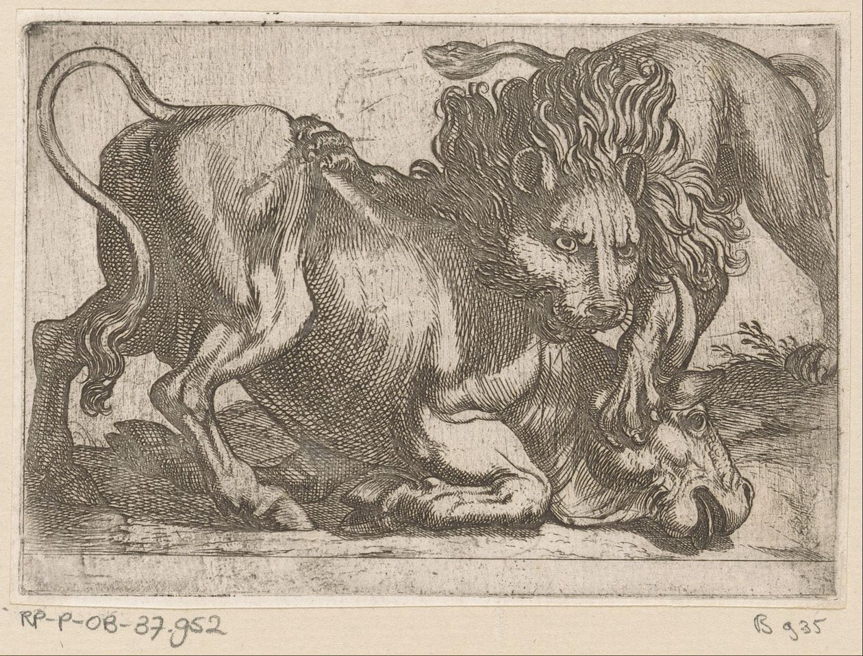 Ein Löwe greift einen Stier an von Antonio Tempesta