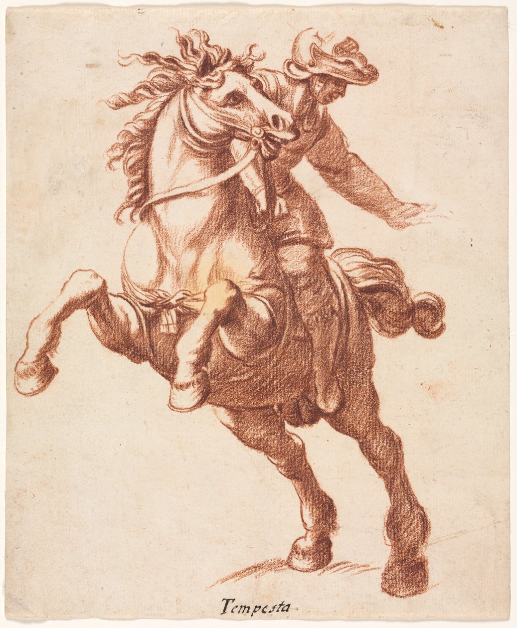 Steigendes Pferd und Reiter von Antonio Tempesta