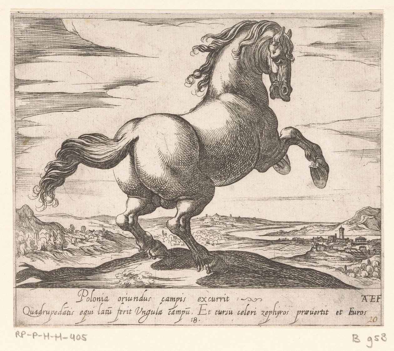 Steigendes Pferd nach rechts gewandt von Antonio Tempesta