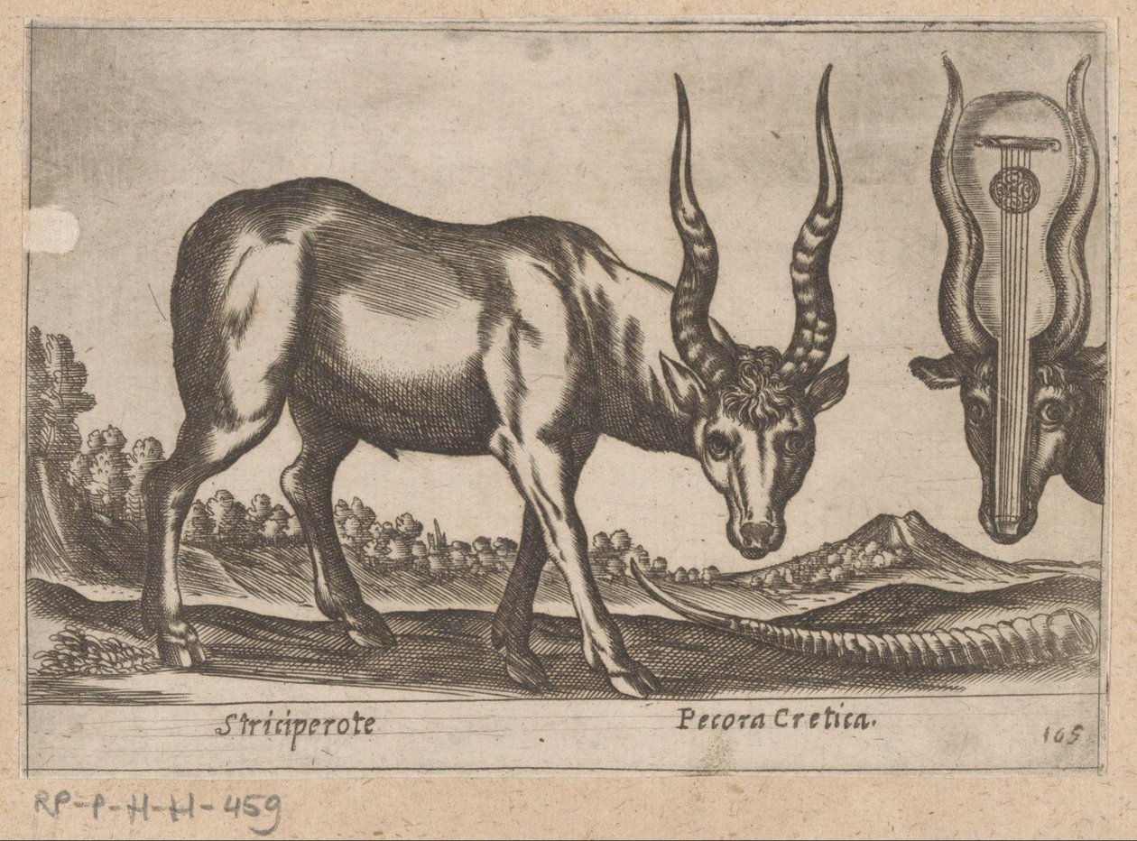 Zwei Antilopen von Antonio Tempesta