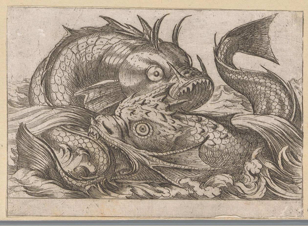 Zwei kämpfende Fische von Antonio Tempesta