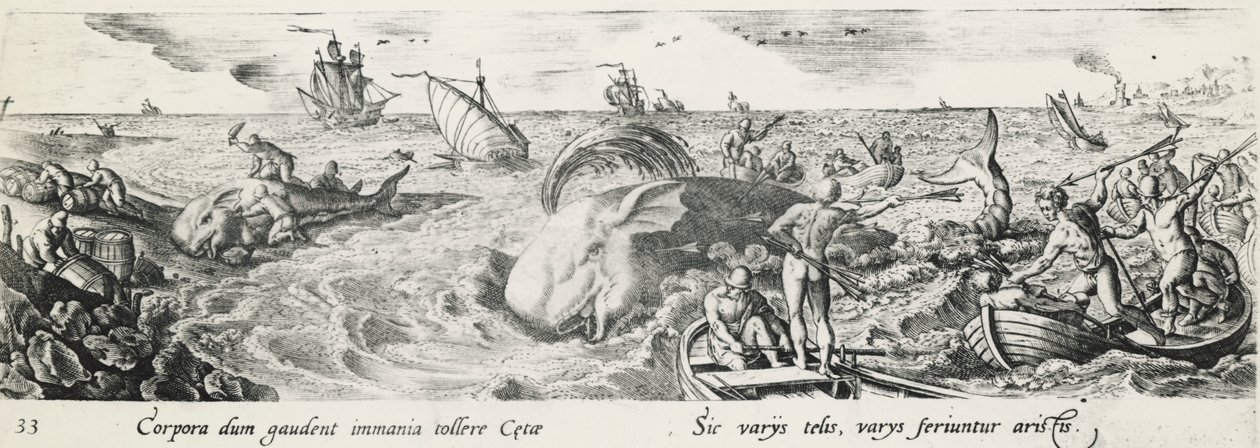 Walfang, von Antonio Tempesta, Kupferstich, Italien von Antonio Tempesta