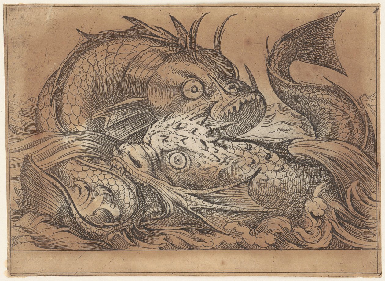 Zwei kämpfende Fische von Antonio Tempesta