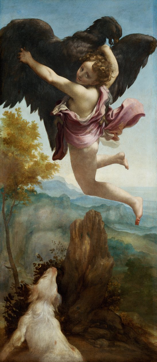 Die Entführung des Ganymed von Antonio da Correggio