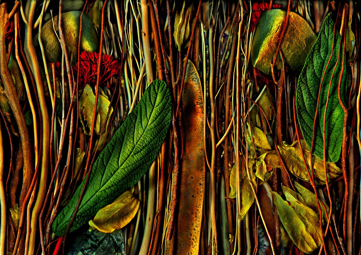 Anderswelten Nr. 79-4, seltsames Holz, 2019 von Antonius Antonius