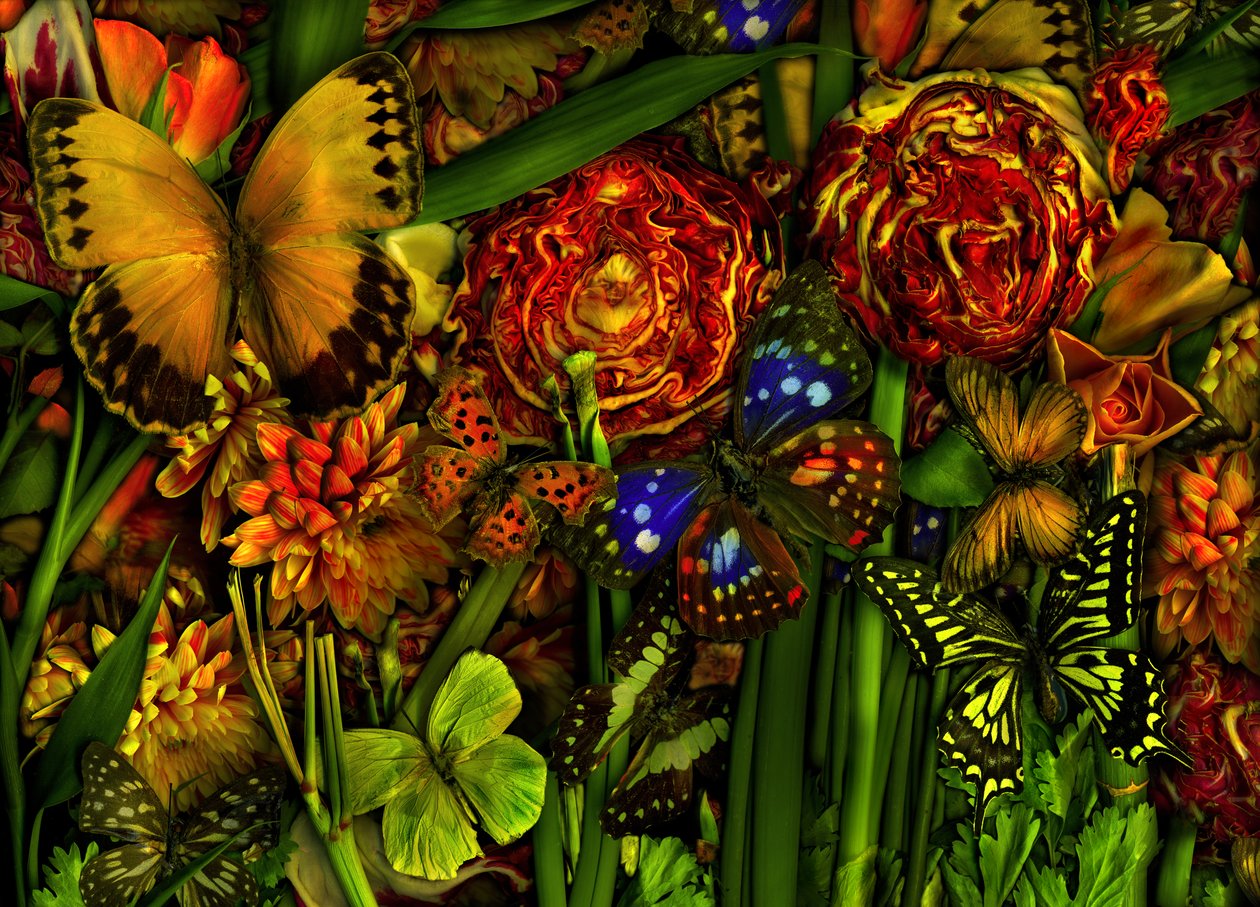 Sommerzeit, 2012 von Antonius Antonius