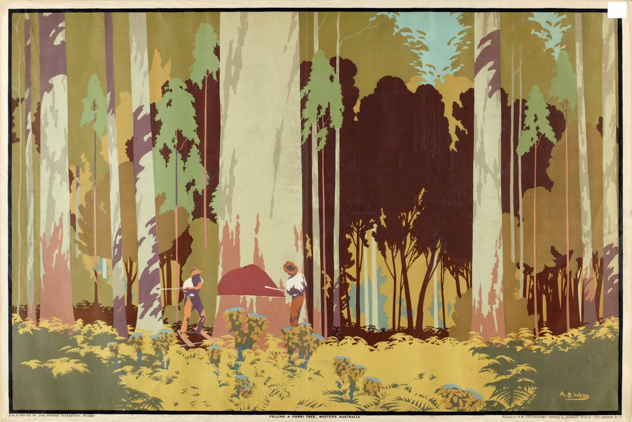 Fällen eines Karri-Baums, Westaustralien, aus der Serie 