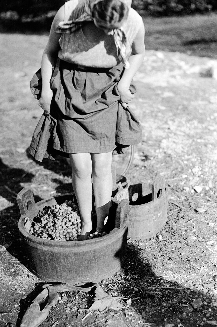 Weintreten in einem Fass, Italien von Armando Bruni