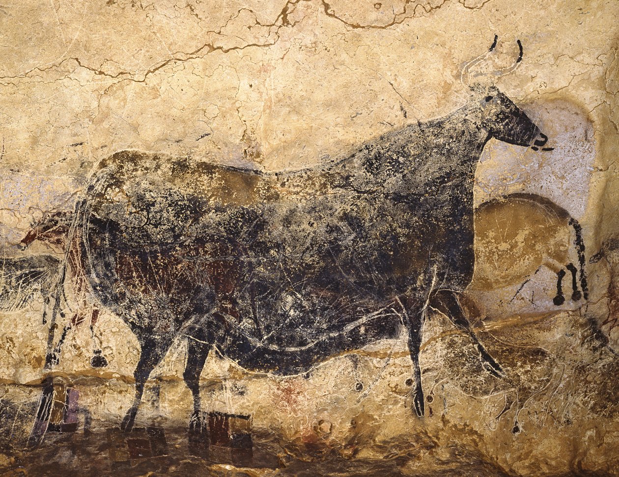 Schwarze Kuh. Höhlenmalerei von Lascaux, ca. 16.000-15.000 v. Chr. von Art of the Upper Paleolithic.