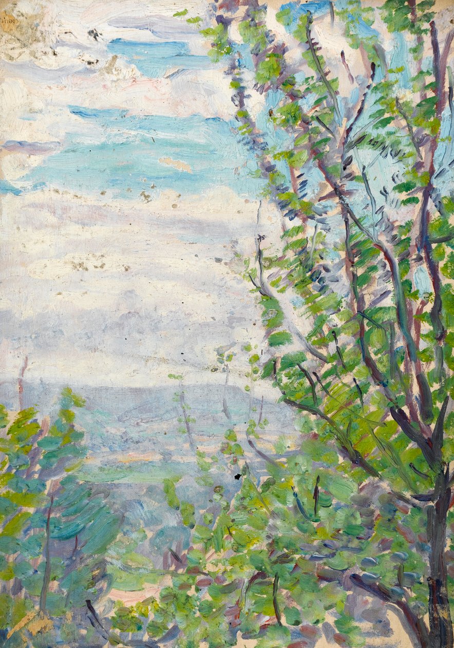 Blauer Himmel und Wolken mit Obstbaumzweigen im Vordergrund von Arthur Haythorne Studd