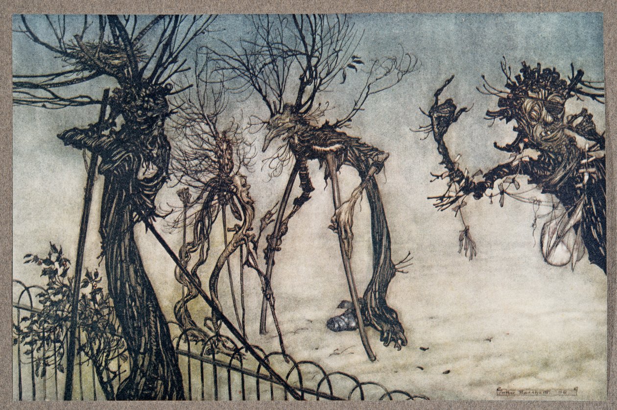 Ein Holunderbaum humpelte über den Weg und stand plaudernd mit einigen kleinen Kindern .., aus Peter Pan in Kensington Gardens von J. M. Barrie (1860 - 1937), veröffentlicht 1906 von Arthur Rackham