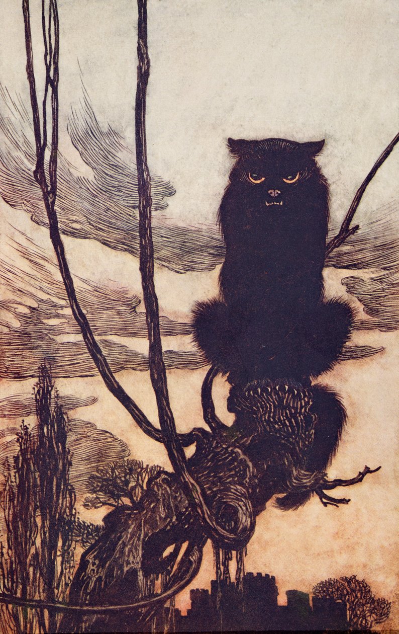 Tagsüber verwandelte sie sich in eine Katze, aus Die Märchen der Brüder Grimm, veröffentlicht 1909 von Arthur Rackham