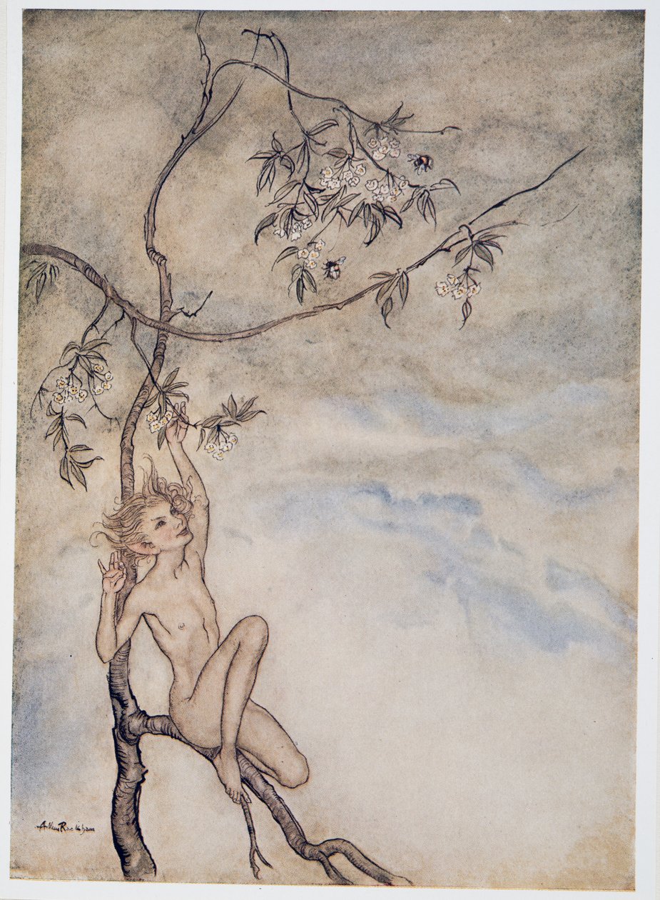 Fröhlich, fröhlich werde ich jetzt unter der Blüte leben, die am Ast hängt, Illustration aus William Shakespeares Der Sturm, veröffentlicht 1926 von Arthur Rackham