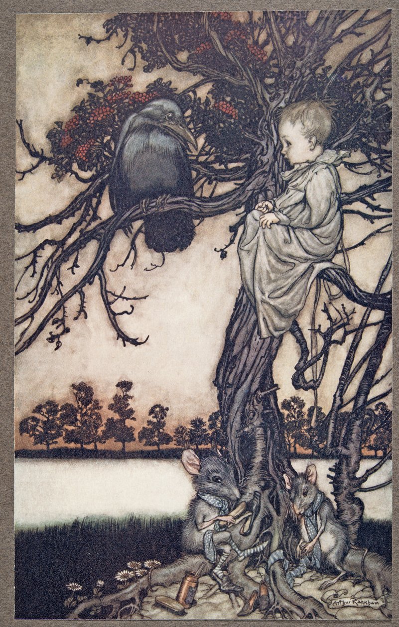 Er legte seinen seltsamen Fall Solomon Caw vor (aus Peter Pan in Kensington Gardens von J. M. Barrie) von Arthur Rackham