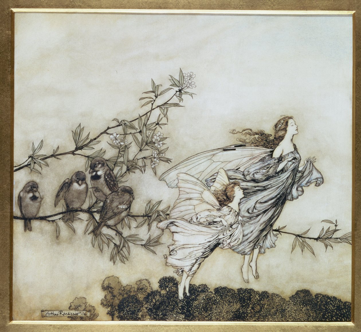 Die Feen haben ihren Streit mit den Vögeln, 1906 Illustration für Peter Pan in Kensington Gardens von J.M. Barrie, veröffentlicht 1906 (Tinte und Aquarell) von Arthur Rackham