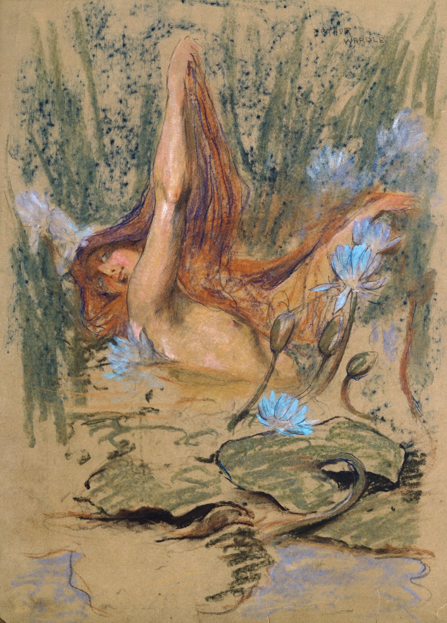 Nymphea, ca. 1890 von Arthur Wardle