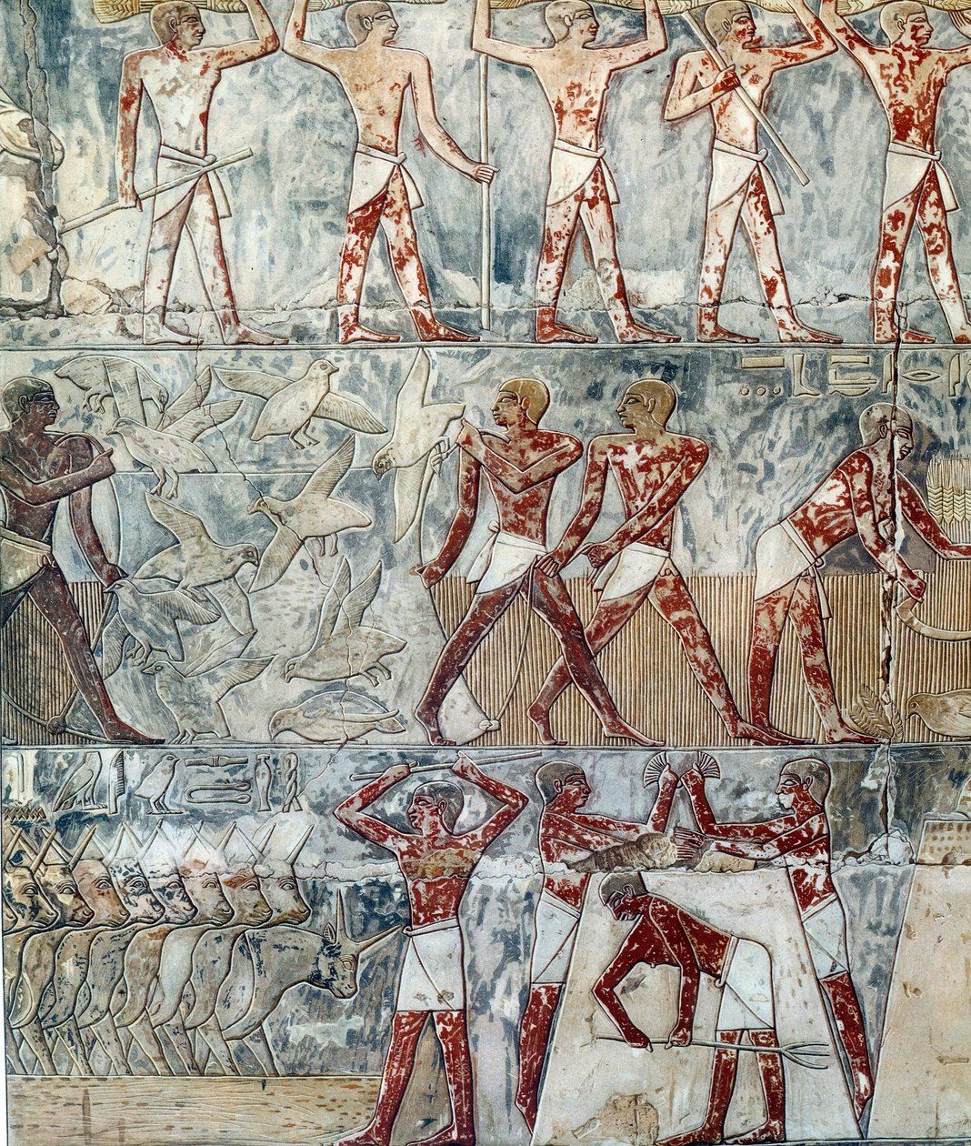 Kunst Ägypten: landwirtschaftliche Szene, 6. Dynastie von Artist Unknown