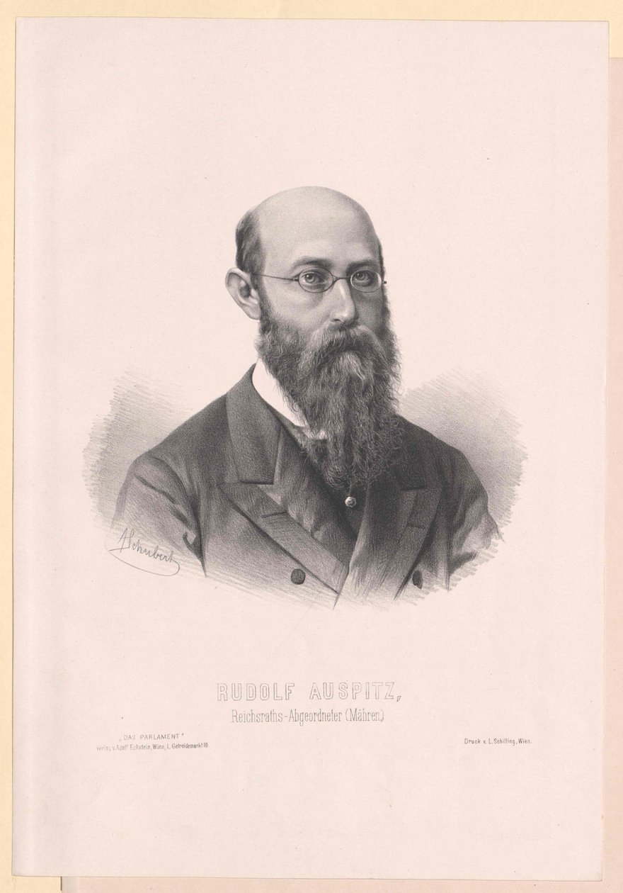Rudolf Auspitz von Artist Unknown