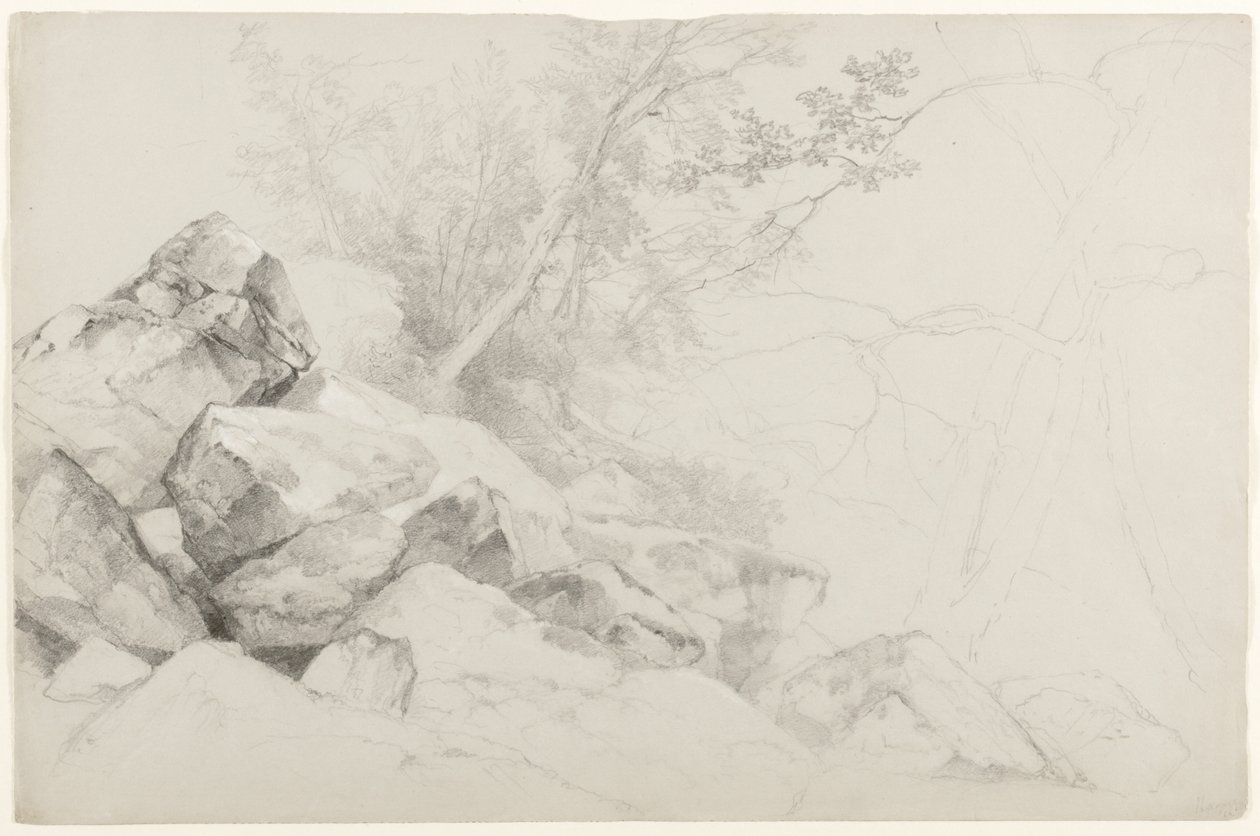Studie von Felsen mit Bäumen, Hague, Lake George, New York, 1862 von Asher Brown Durand