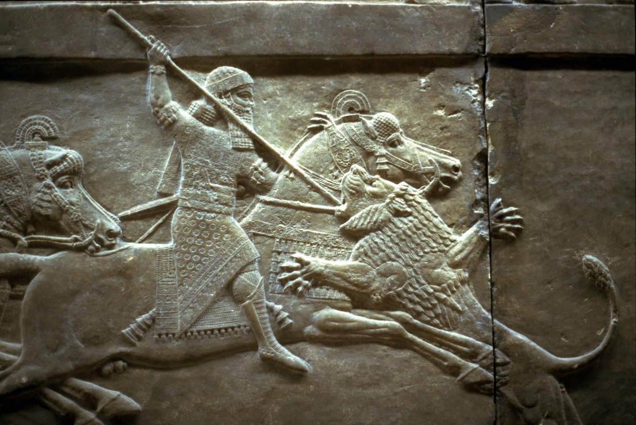 König Ashurnasirpal II. bei einer königlichen Löwenjagd, 650-620 v. Chr. von Assyrian