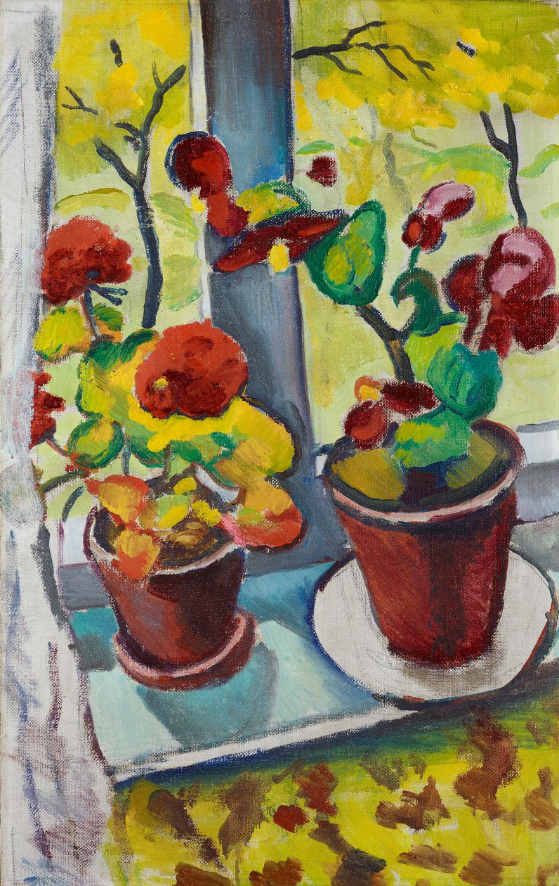 Blumen am Fenster Begonien in Töpfen I von August Macke