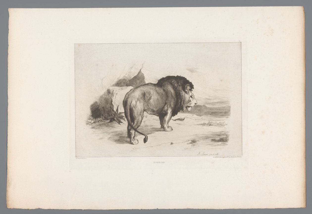 Löwe von Auguste Andre Lancon