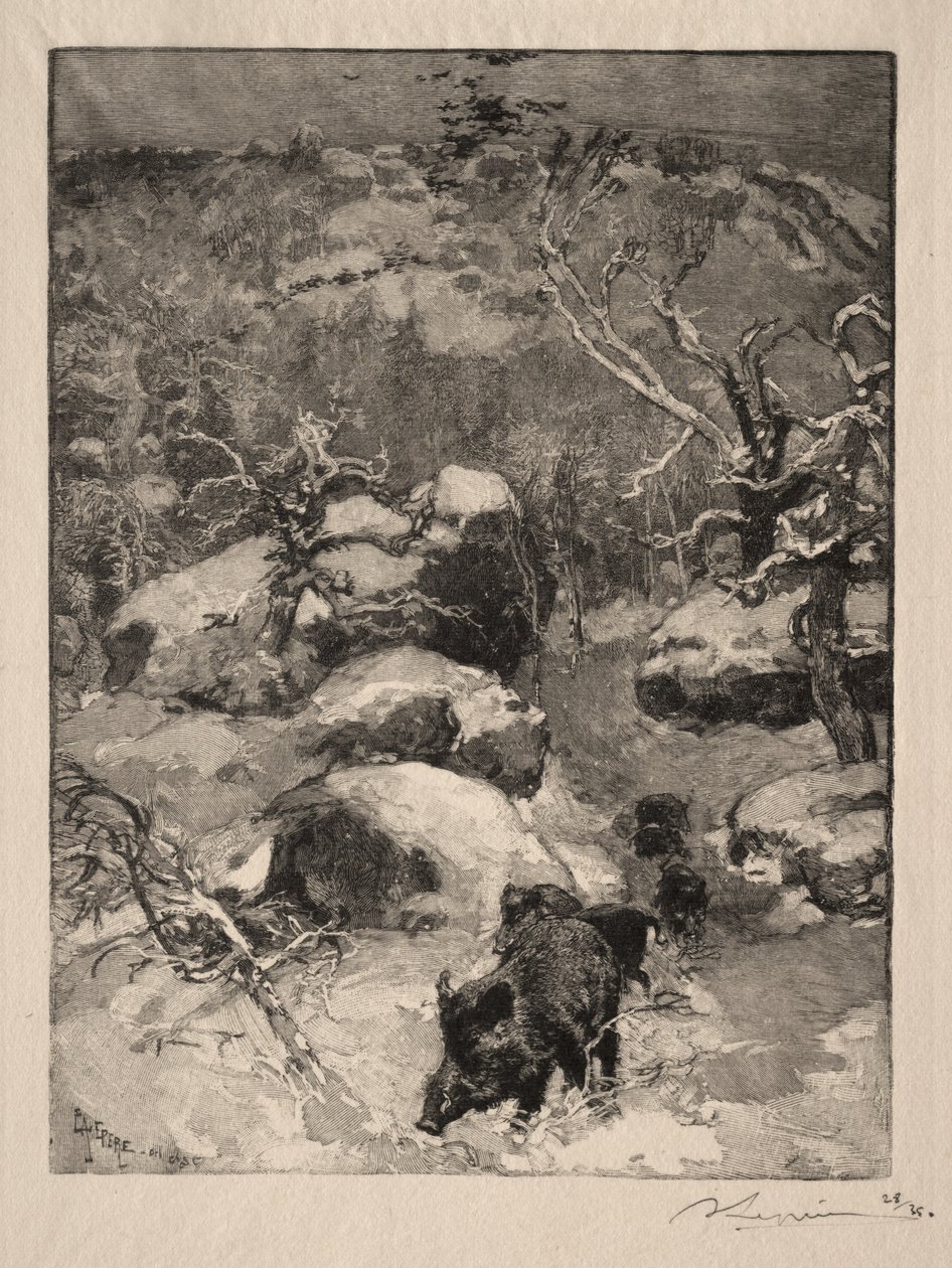 Roche Cuvier Chatillon von Auguste Louis Lepère