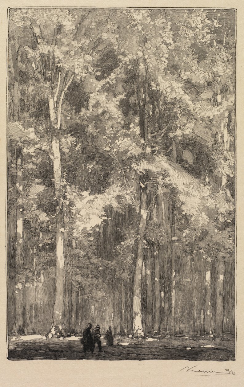 Fontainebleau Wald: Morgen, Kreuzung der Route der Forts de Marlotte..., 1890 von Auguste Louis Lepère