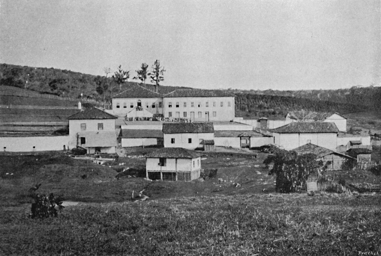 Fazenda de Sete Quedas Campinas, Sete Quedas Farm, 1895 von Axel Frick