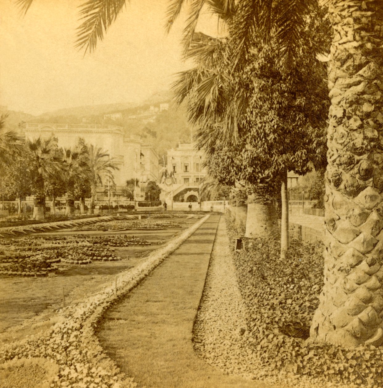 Monte Carlo, Blick vom Casino, 1897 von B. W. Kilburn