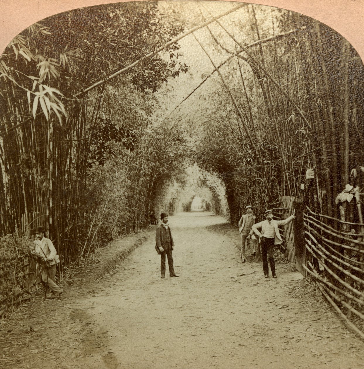 Der Mardyke, Cork, Irland von B. W. Kilburn