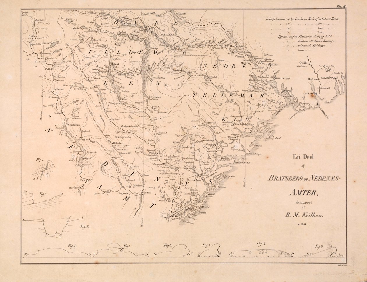 Ein Teil von Bratsberg und Nedenæs Amter von Baltazar Mathias Keilhau