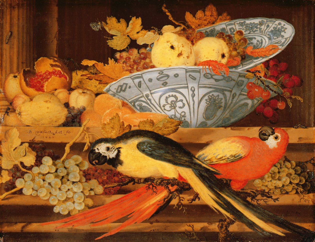Stillleben mit Früchten und Aras, 1622 von Balthasar van der Ast