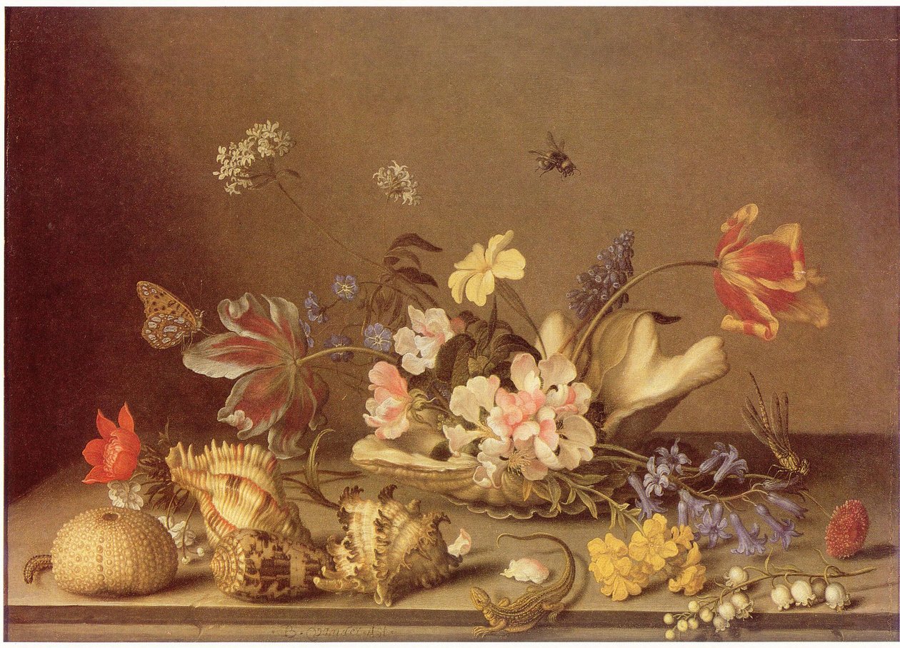 Stillleben mit Blumen und Muscheln von Balthasar van der Ast